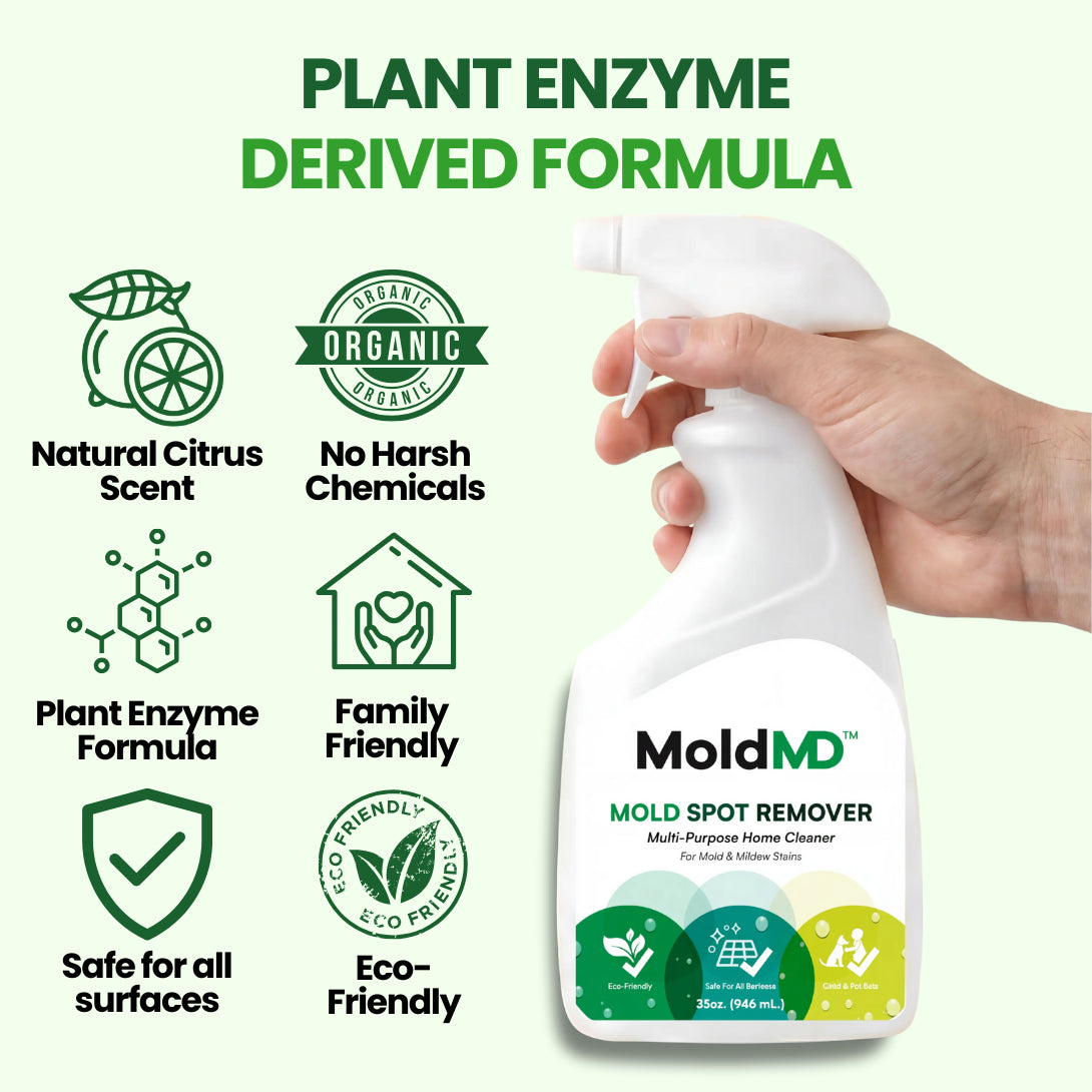 Non-Toxic Mold Spray