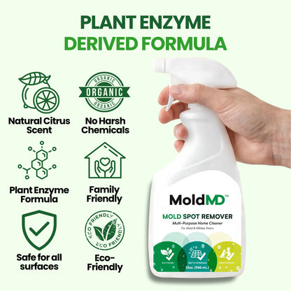 Non-Toxic Mold Spray