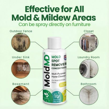 Non-Toxic Mold Spray