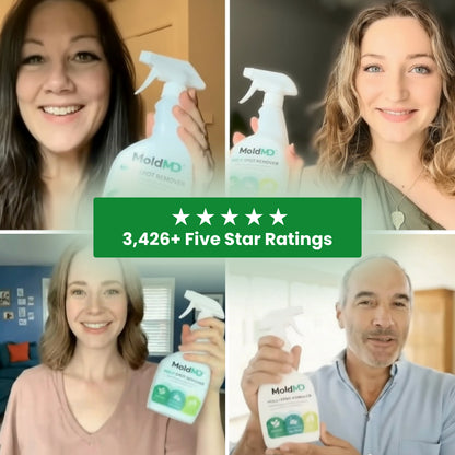 Non-Toxic Mold Spray