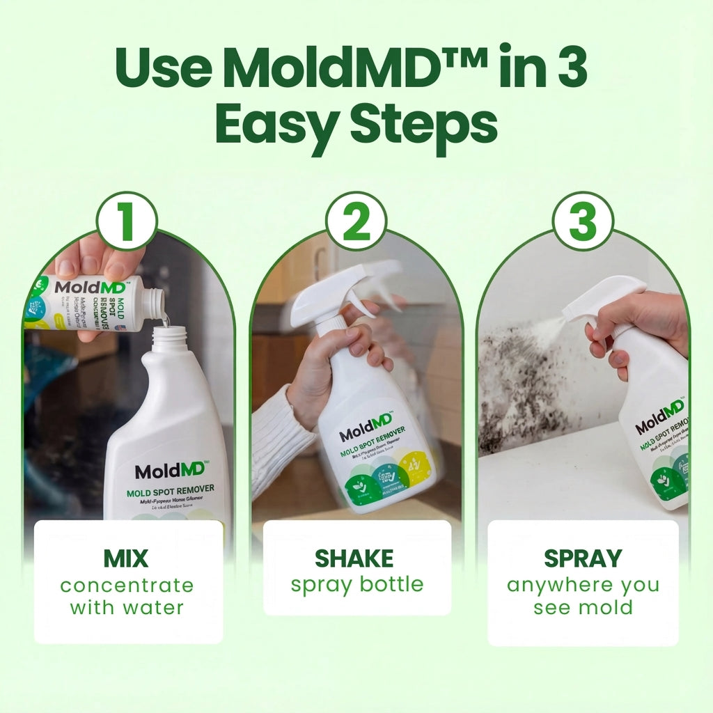 Non-Toxic Mold Spray