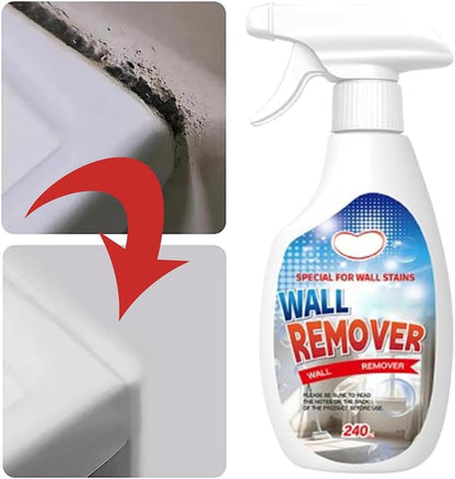 Non-Toxic Mold Spray