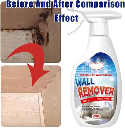 Non-Toxic Mold Spray